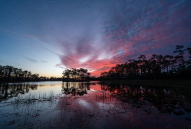Florida, Everglades Ulusal Parkı 'ndaki Long Pine Key üzerindeki renkli günbatımı bulutları gölün sakin sularına yansıyor..