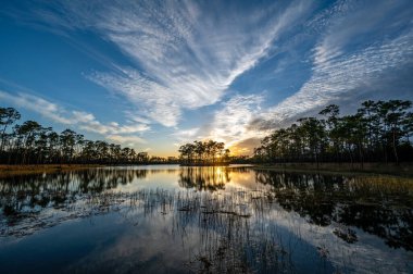Florida, Everglades Ulusal Parkı 'ndaki Long Pine Key üzerindeki renkli günbatımı bulutları gölün sakin sularına yansıyor..