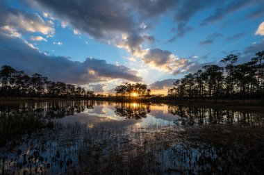 Florida, Everglades Ulusal Parkı 'ndaki Long Pine Key' in sakin sularına renkli günbatımı bulutları yansıdı.