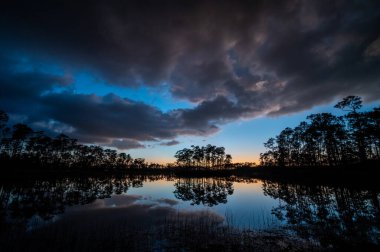 Florida, Everglades Ulusal Parkı 'ndaki Long Pine Key' in sakin suyuna yansıyan renkli fırtınalı gün batımı bulutu.