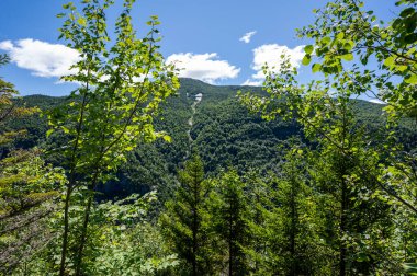 New York 'un Adirondack Dağları' ndaki Pitchoff ve Cascades Yolu 'ndan görüntüler güneşli yaz sabahında.