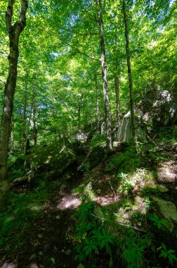 New York 'un Adirondack Dağları' ndaki Pitchoff ve Cascades Yolu 'ndan görüntüler güneşli yaz sabahında.