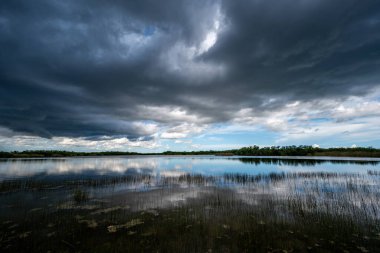 Florida 'daki Everglades Ulusal Parkı' nda yaz fırtınası bulutları.