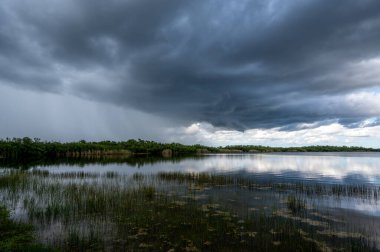 Florida 'daki Everglades Ulusal Parkı' nda yaz fırtınası bulutları.