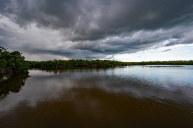 Florida 'daki Everglades Ulusal Parkı' nda yaz fırtınası bulutları.