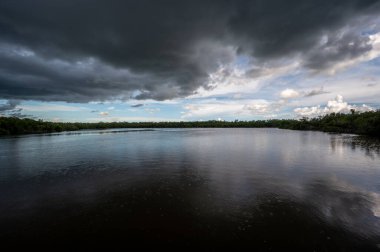 Florida 'daki Everglades Ulusal Parkı' nda yaz fırtınası bulutları.