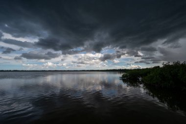 Florida 'daki Everglades Ulusal Parkı' nda yaz fırtınası bulutları.
