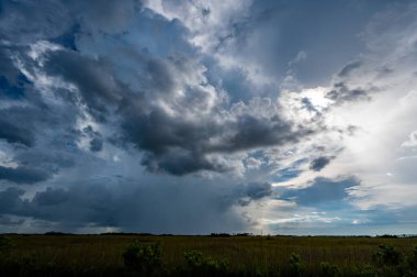 Florida 'daki Everglades Ulusal Parkı' nda yaz fırtınası bulutları oluşuyor..