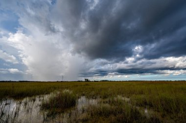 Florida 'daki Everglades Ulusal Parkı' nda yaz fırtınası bulutları oluşuyor..