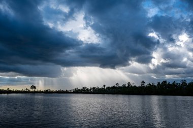 Florida 'daki Everglades Ulusal Parkı' nda yaz fırtınası bulutları.