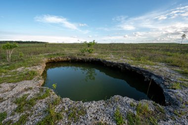 Everglades Ulusal Parkı, Florida 'daki solüsyon deliğinin üzerindeki parlak yaz bulutları.