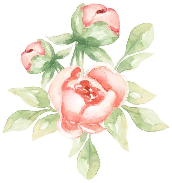 Watercolor hand painted peony buds flowers and greenery bouquet clipart, delicate garden florals arrangement illustration, petal