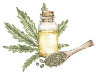 Suluboya Kenevir yağı ve tohum illüstrasyonu, marihuana yaprakları dağılımı, elle boyanmış Doğal tedavi amaçlı ilaç klipsi sanatı, tıbbi bitki yağı şişesi kompozisyonu