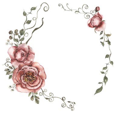 Suluboya kırmızı şakayık çiçekleri, yapraklar çizim