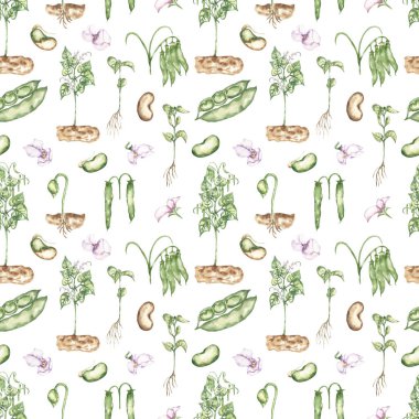 Suluboya yeşil fasulye pürüzsüz desen, bitkilerin doğası tekrar tekrar kağıt, sevimli tekstil arka plan 
