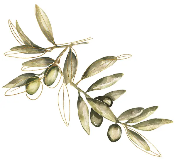 Hand painted watercolor olive branches and leaves illustration on white background. Gold olives clipart. Perfect for creating cards, print, wedding and fashion design.