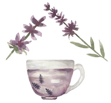 Suluboya lavanta çayı ve lavanta dalları çiçek illüstrasyonu seti, bitkisel çay clipart