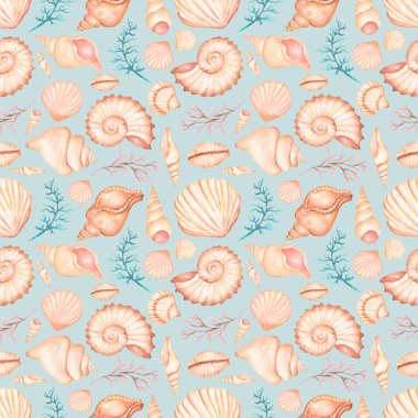 Suluboya deniz kabukları pürüzsüz desen, el çizimi yaz dekorasyonu tekrar kağıt, deniz kabuğu yapıştırma defteri.