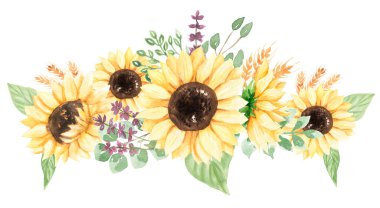 Ayçiçeği Sınırı Clipart, Suluboya Çayır Çiçekleri Çerçeve, kır çiçekleri buket illüstrasyon, düğün davetiyeleri, bebek partisi, logo