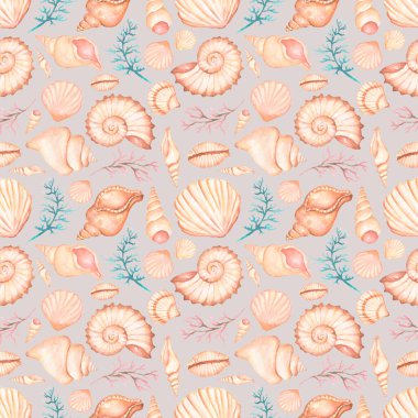 Suluboya deniz kabukları pürüzsüz desen, el çizimi yaz dekorasyonu tekrar kağıt, deniz kabuğu yapıştırma defteri.