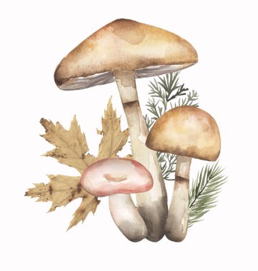 Suluboya örümcek ağı sarısı ve çim kompozisyonu, mantar ve sonbahar çim resimli russula mantarı. El yapımı suluboya orman mantarı uçsuz bucaksız sınır kaplaması