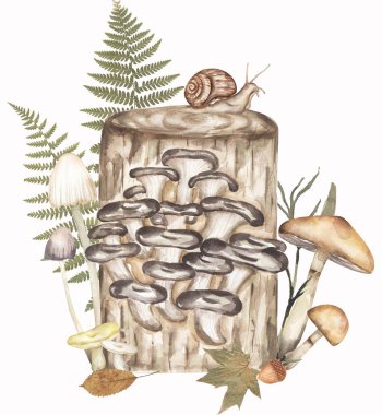 Diğer mantarlı istiridye mantarları ve gerçek eğreltiotu yaprakları kompozisyonu, mantar ve sonbahar gerçek yaprakları çizimi. El yapımı suluboya mantar. 