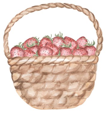 Suluboya çilek çizimi, kırmızı böğürtlen sepeti. Tebrik kartları, paskalya kartları, davetiyeler, doğum günleri, bahar etkinlikleri için uygun