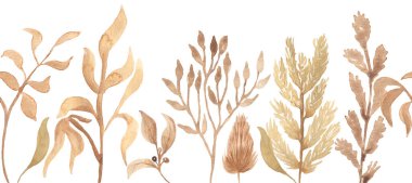 Suluboya kurumuş bitkiler ve kır çiçekleri, dikişsiz sınır, bitkisel tekstil arka plan, tekrarlanan desen