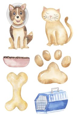 Watercolor vet elements and dog and cat illustration, paw, dog food, animal carrier, bone clipart set clipart