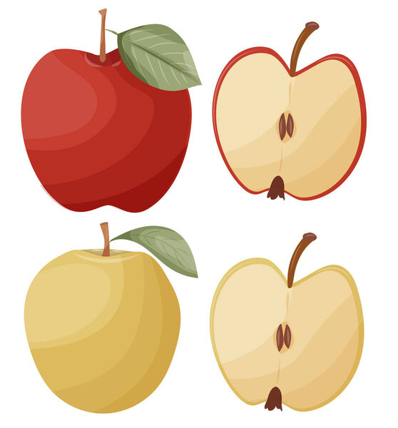 Красное и зеленое яблоко набор иллюстрации, графический ломтик яблока клипарт, питание, искусство урожая клип