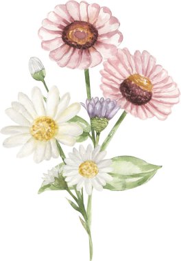 Suluboya el çayır çiçekleri buket illüstrasyon, botanik kır çiçekleri düzenleme