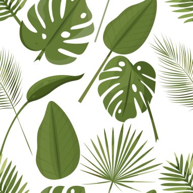 Tropik yapraklar pürüzsüz desenler, palmiye yaprakları ve canavar tekrar eden kağıtlar.