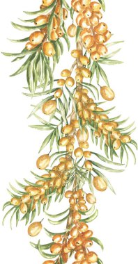 Suluboya Deniz Buckthorn Şubesinin Kusursuz Sınır İllüstrasyonu, Tarım Sonbahar Tekrarlama Şablonu