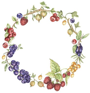 Watercolor Wreath Illustration of Sea Buckthorn, blueberry, cranberry, gooseberry branch, honeysuckle and raspberry, agriculture autumn berry border