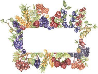 Watercolor Frame Illustration of Sea Buckthorn, blueberry, cranberry, gooseberry branch, honeysuckle and raspberry, agriculture autumn berry border