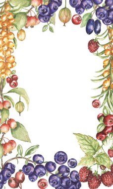 Watercolor Frame Illustration of Sea Buckthorn, blueberry, cranberry, gooseberry branch, honeysuckle and raspberry, agriculture autumn berry border