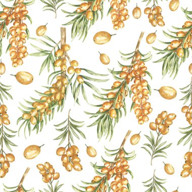 Suluboya Denizin Kusursuz Şablonu Buckthorn Şubesi, Tarım Sonbahar Böğürtlenleri Tekrarlayan Kağıt