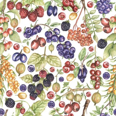 Suluboya Böğürtlen, böğürtlen, yabanmersini, bektaşi üzümü, ahududu, dikişsiz sınır, el boyası botanik çilek deseni tekrar desen, flora çerçeve sanatı