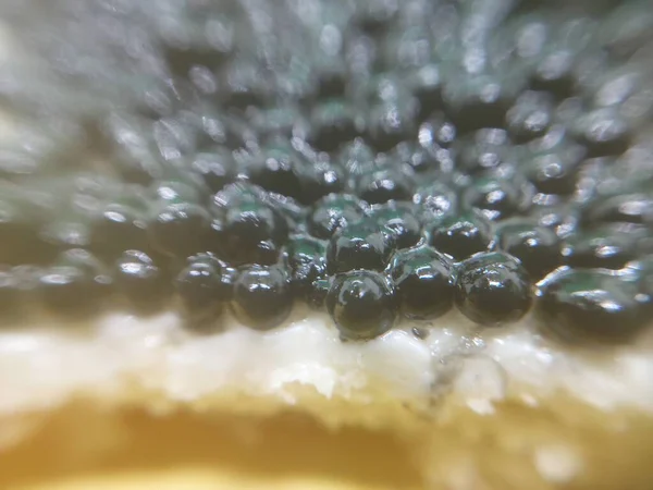 샌드위치 캐비어의 — 스톡 사진