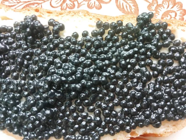 Grains of real black caviar on a the sandwich