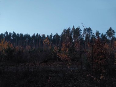 Şafağın sabah ve akşam manzarası