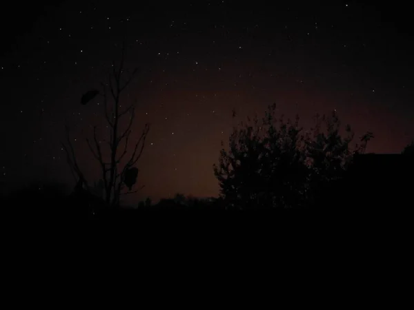 Красивое Ночное Небо Звездами — стоковое фото