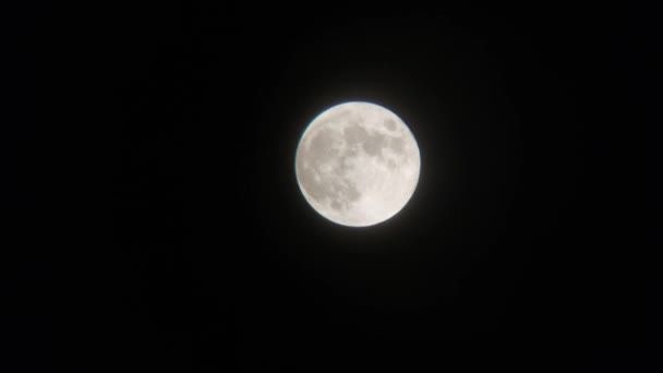 Ночной Лунный Макро Небе — стоковое видео