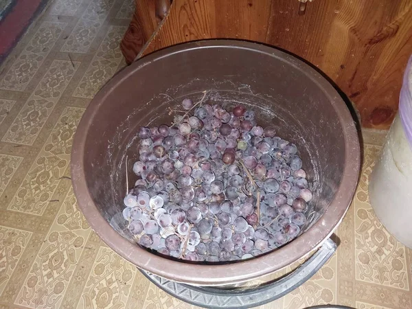 Вичавлення Виноградного Соку Шнековою Ручною Ясорубкою — стокове фото