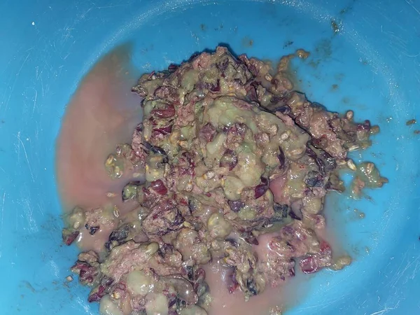 Wyciskanie Soku Winogronowego Pomocą Ręcznego Szlifierki Mięsa — Zdjęcie stockowe