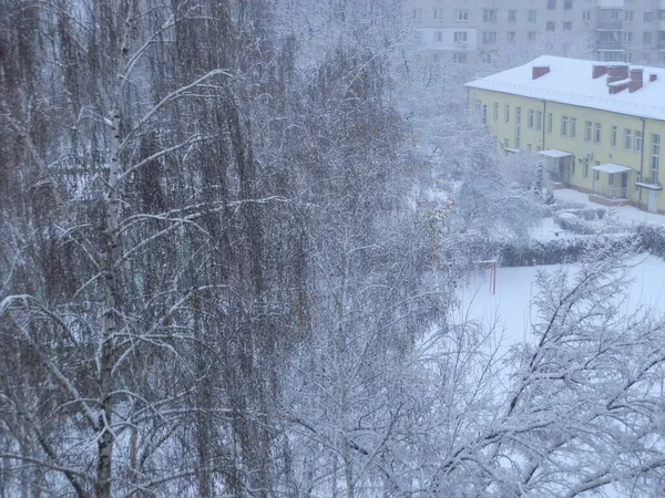 Hóval Borított Fák Hóviharban Városban — Stock Fotó