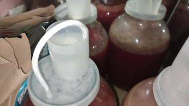 Ev yapımı şarabı su kabıyla mayalamak.