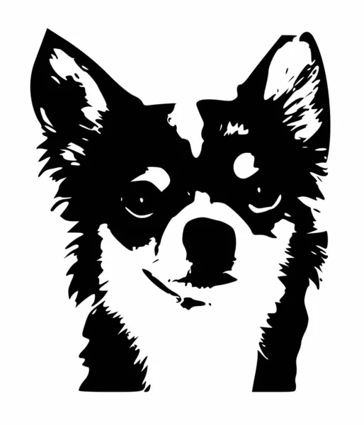 Logo Voor Een Het Huisdier Zorg Bedrijf — Stockfoto