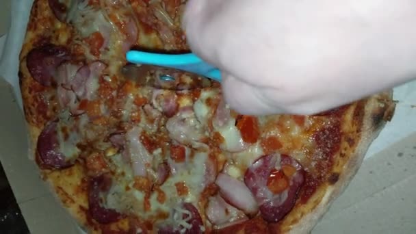 Cortar Pizza Con Cuchillo Redondo Especial — Vídeo de stock