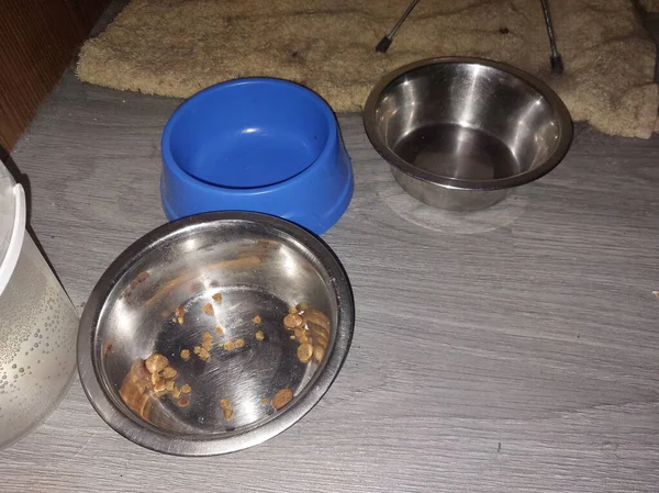 Items for dog and the cat food